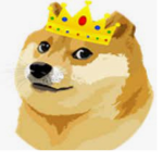 BÃRBS 0NLY