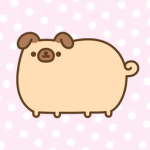 pugshiie