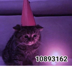 WeirdoGroup
