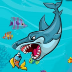 [Offical] Sharky Gang
