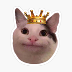 POP_Kingdom