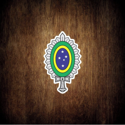 Exército Brasileiro [NOVO !]