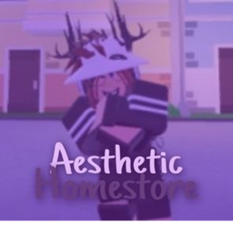 Aesthetic Clothing