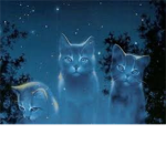 Warriors of Magic Clan