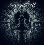 St0n3y