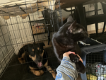 Smokey and Asher’s group