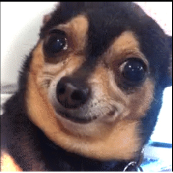 AFK GAME - Afk until donated 30k