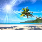 "SUNLIGHT BAY"!!!!
