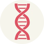 Second Breeding Paddock