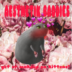 ASTHETIK WARNING