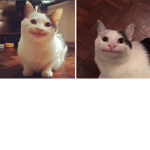 SMOL BEAN/CAT ARMY
