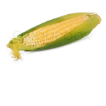 corn quad