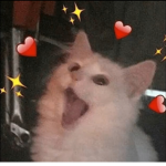 Meep hewo