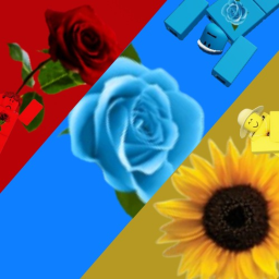 The Flower Garden