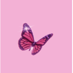 The butterfly squad~