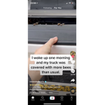 Has yt does not post a lot