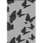 ra_5980