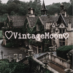 ~{VintageMoon}~