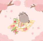 Pusheen studios!