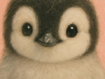 江戸川のペンギン penguin