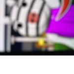 Join the zebra group