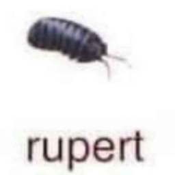 necrøhøuse