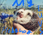 my hedgehog luvs