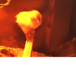 Chickens Are Cute :D