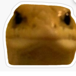 -Army of Frogs-