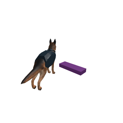 doge