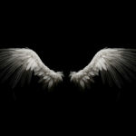 Midghtsngroup