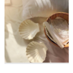 ~Seashell breeze~
