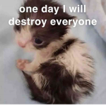 one day I will destroy everyone