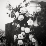 ~Alejandra edits~