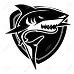 Sharks fight club