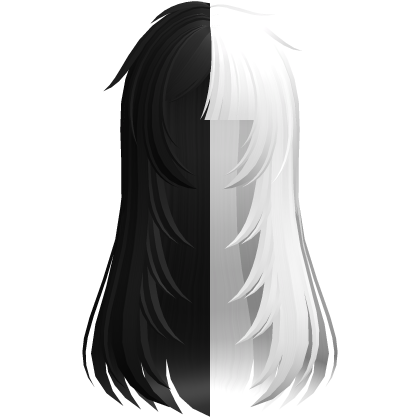 🖤layered messy fallen angel hair in black & white