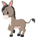 DONKEY SQAUD