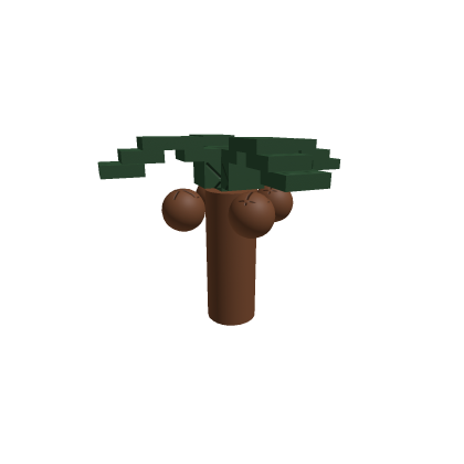 Old Palm Tree