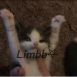 Limbb