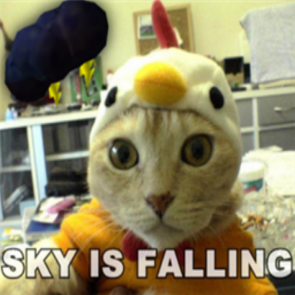 cute cat Roblox decal