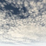 Army Men Tycoon * BEING REFURBISHED *