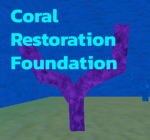 Coral Restoration Foundation