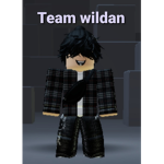 Wildan Team