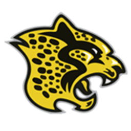 The Jungle Home of The Chicago Cheetahs