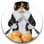 Potato Cat Studios