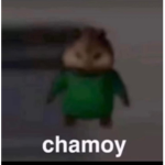 ########### ## ##