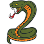 Snake Medical Company
