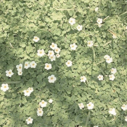 ♡