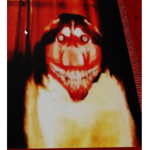 TheChickenCrew