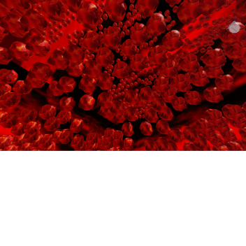 GET TO THE BUNKER BEFORE YOU DIE